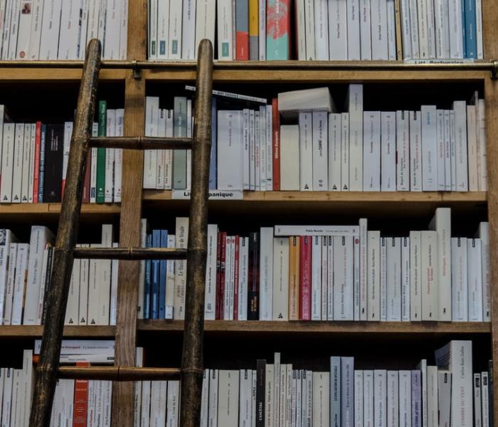 books-ladder