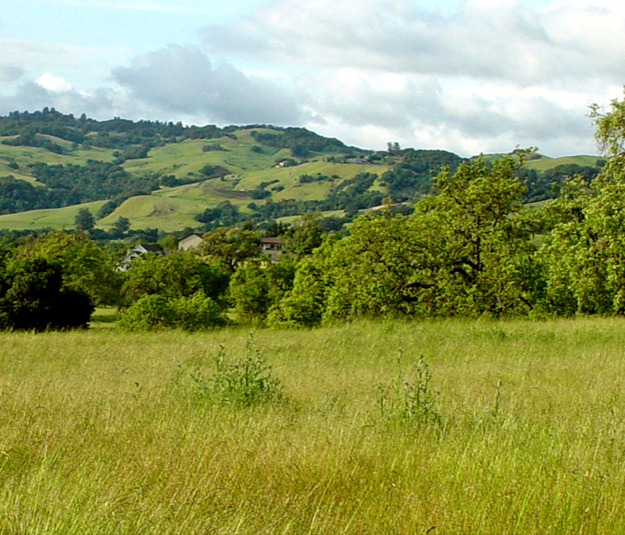 Mountains