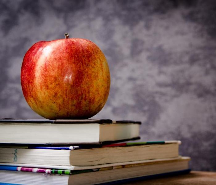 apple and books