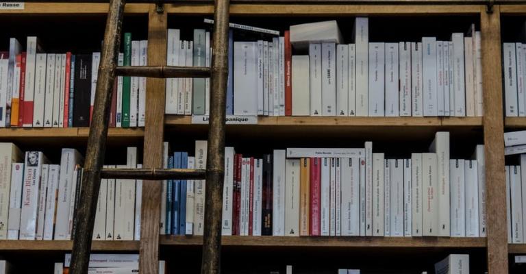 books-ladder
